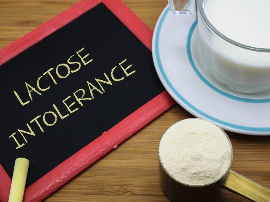 produkty na diecie przy nietolerancji laktozy