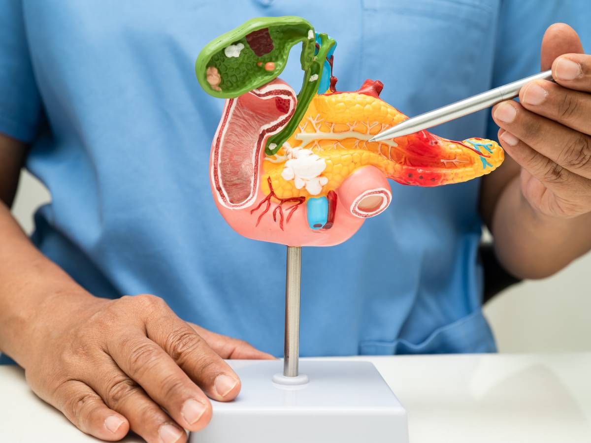 produkty na diecie przy zapaleniu trzustki