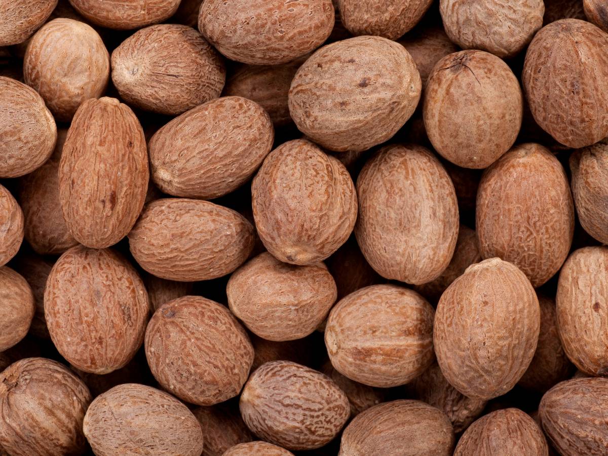 Gałka muszkatołowa