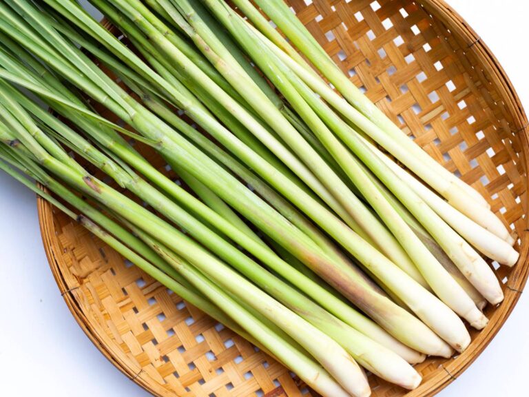 Lemongrass