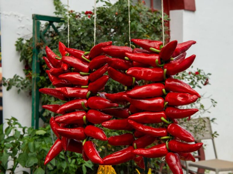 Piment d'Espelette