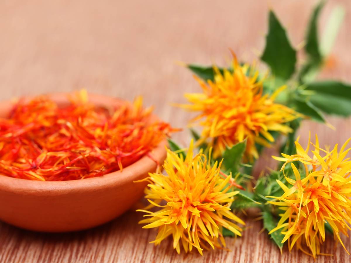 Safflower (krokosz