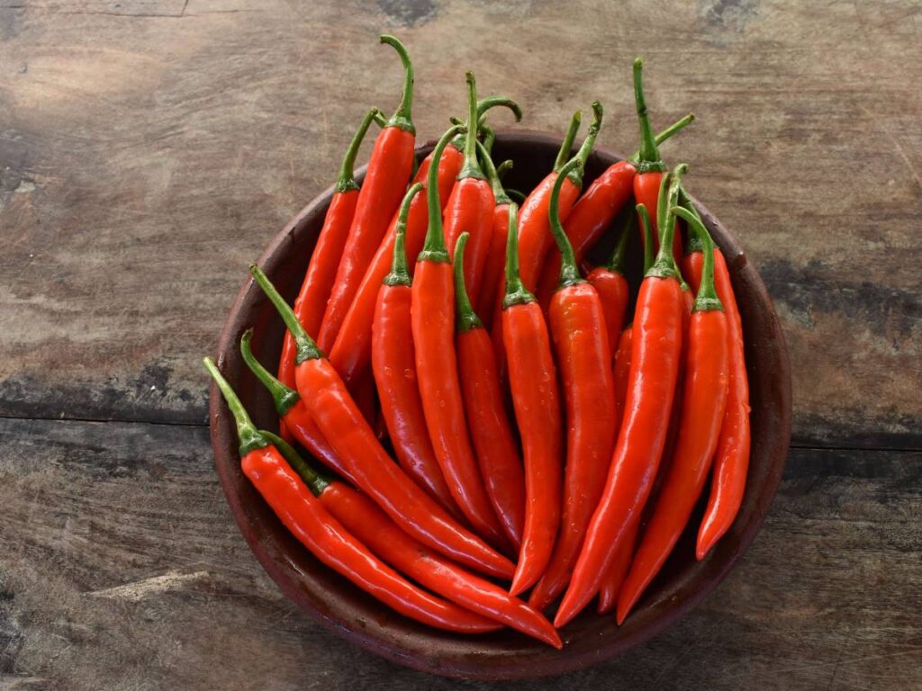 Miseczka papryczek chili.