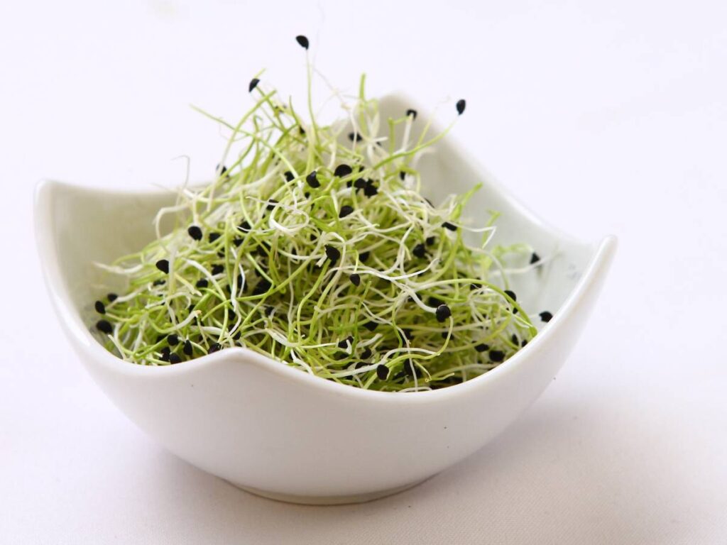 Kiełki brokuła w białej miseczce