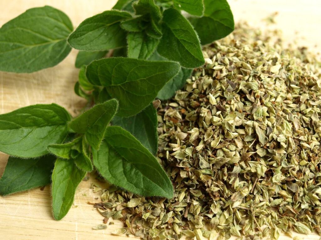 Zielone i suszone oregano.
