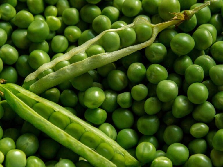 Zielony grosze i dwa strączki.